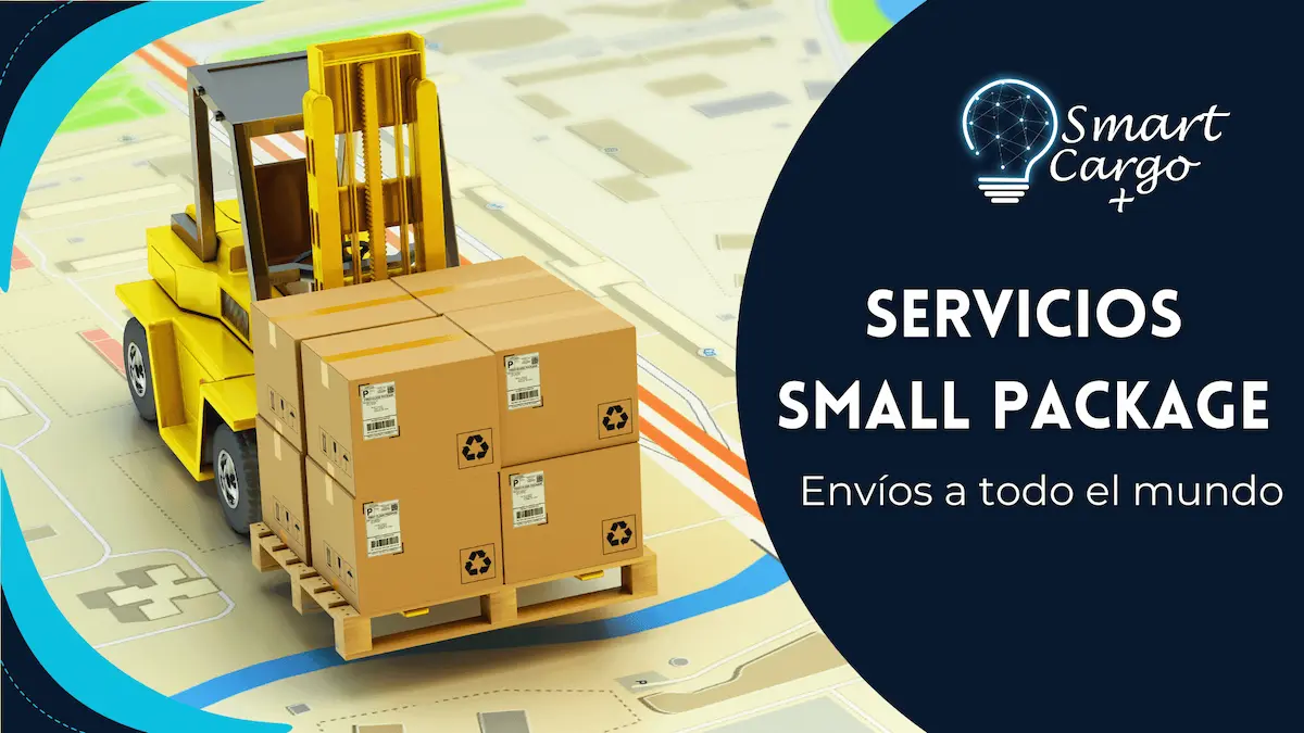 Servicios-Small-Package
